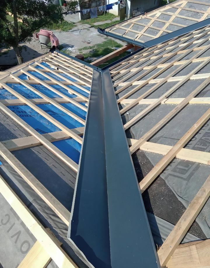 Iskusni krovovski majstori