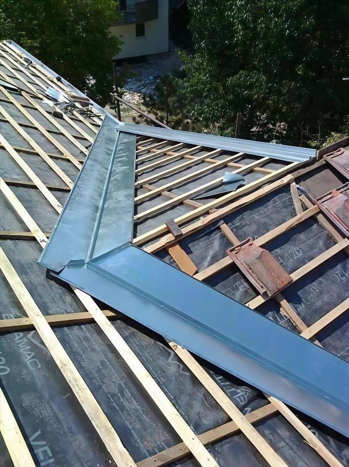 Iskusni krovovski majstori