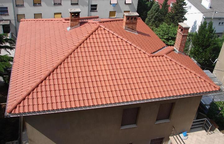 Iskusni krovovski majstori